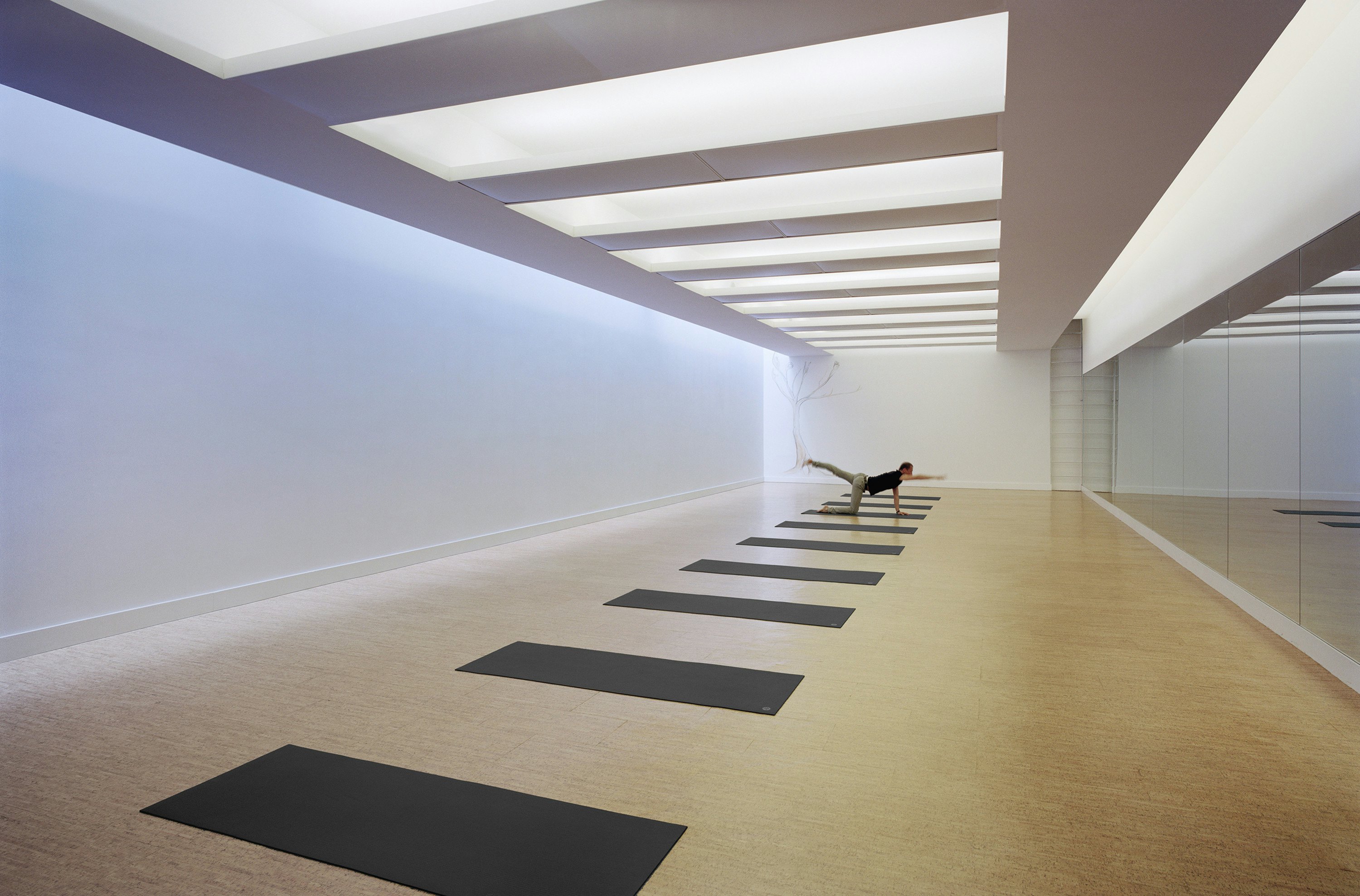 Sweaty and Swanky: The Rise of the Statement Home Gym